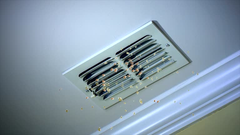 Ductwork Cleaning Services in Douglas, AL