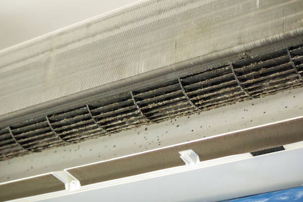 Ductwork Cleaning Services in Douglas, AL